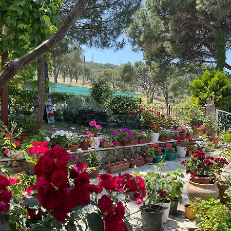 Gunebakan Taliani Hotel Ayvalı