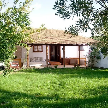 Gunebakan Taliani