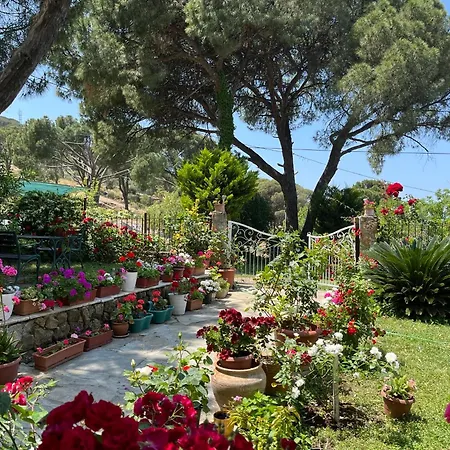 Gunebakan Taliani Appart hôtel 2*