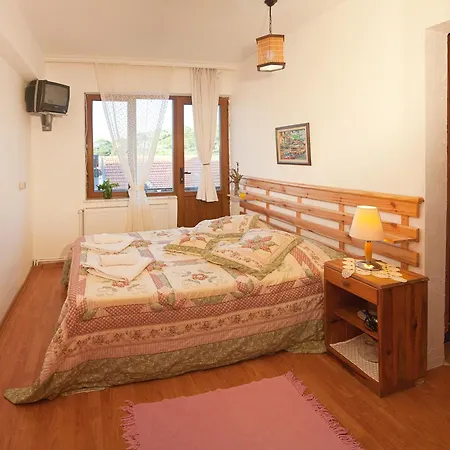 Gunebakan Taliani Ayvalı