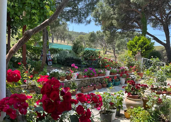 Gunebakan Taliani فندق Ayvalı